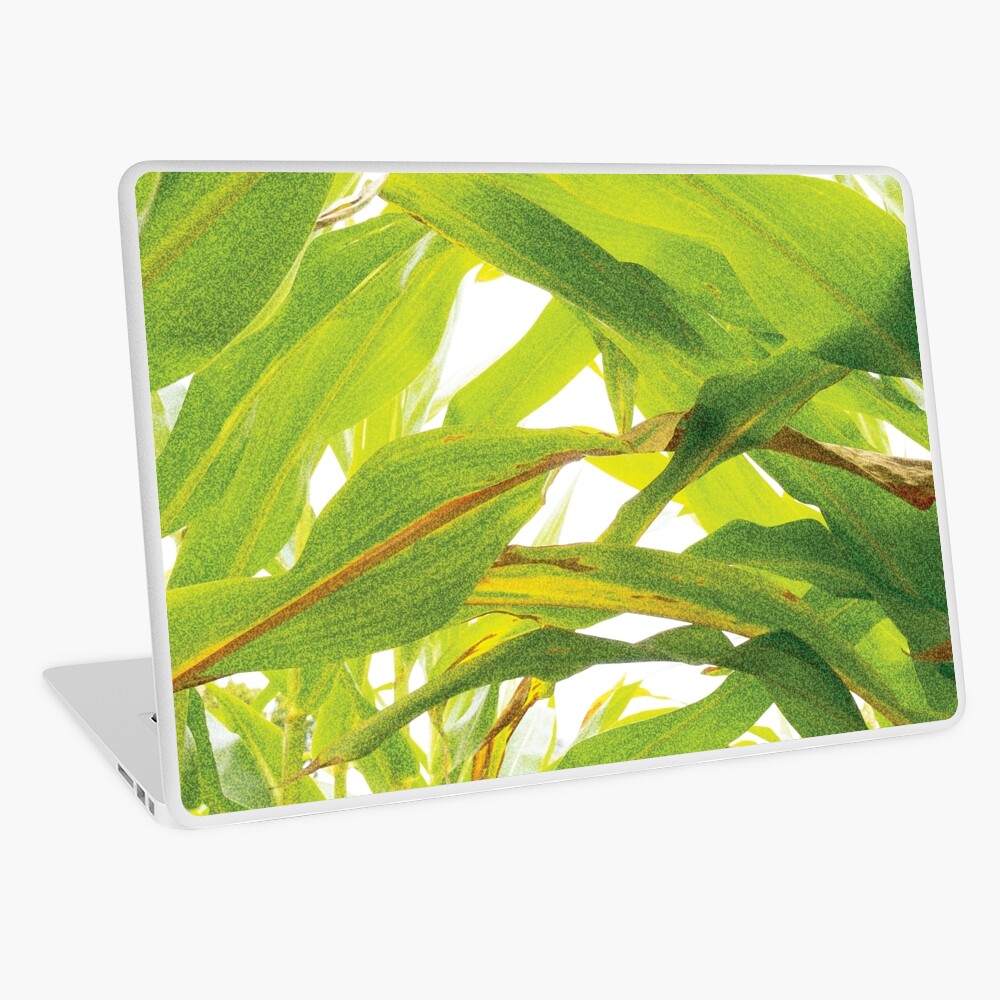 Item preview, Laptop Skin designed and sold by GeeeDeeeBeee.