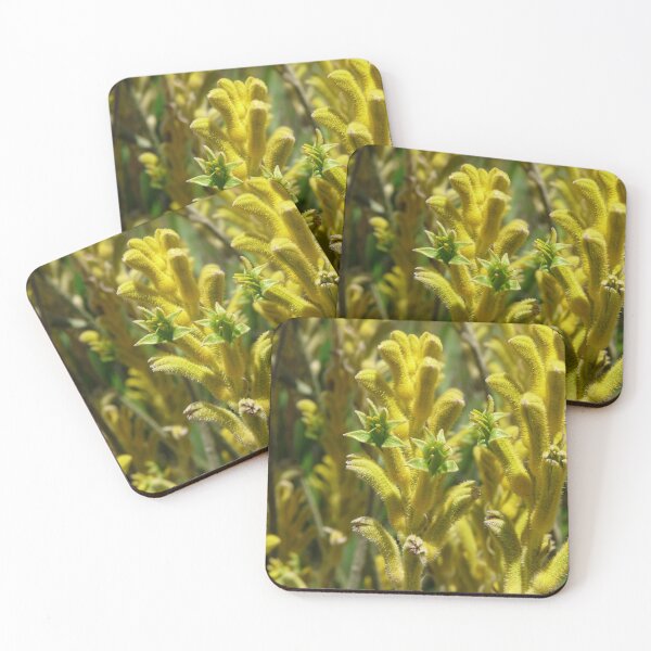Item preview, Yellow Kangaroo Paw designed and sold by SACRED NATURE DESIGNS.