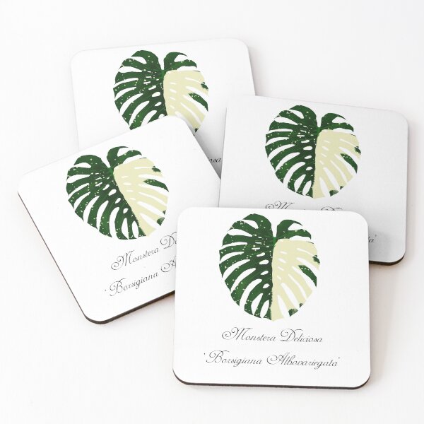 Item preview, Copy of Monstera Deliciosa Borsigiana Albo Variegata designed and sold by Alin Richard Iovănuț.