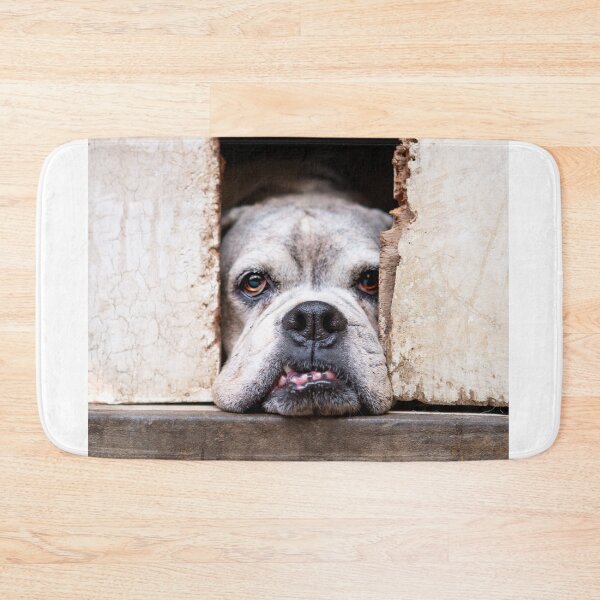 Item preview, Cute British Bulldog designed and sold by DosImagery.