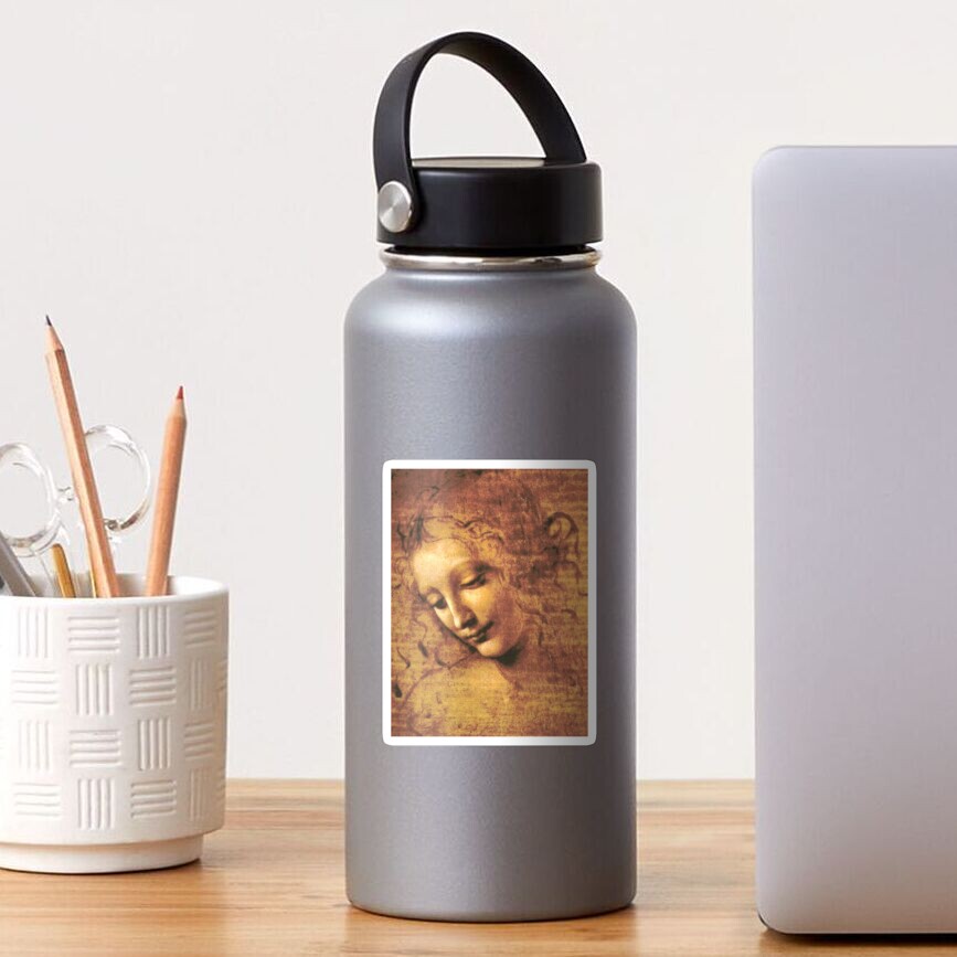Female Figure - Da Vinci Sticker