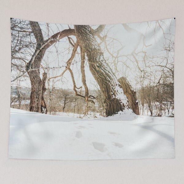 Item preview, Footsteps in the snow, snow landscape designed and sold by Melissa Peltenburg.