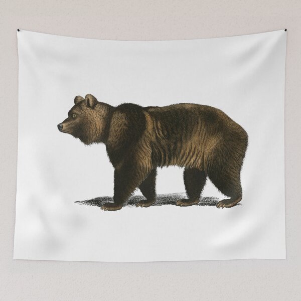 Item preview, Naturalist Bear designed and sold by BlueSpecsStudio.