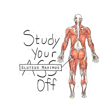 Artwork thumbnail, Go study by Roisin678