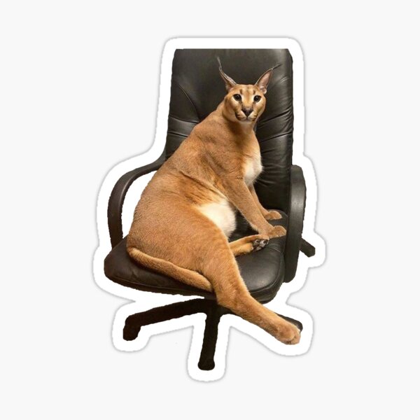 Big Floppa - Caracal meme cat / fat floppa / cursed floppa Greeting Card  for Sale by romanticists