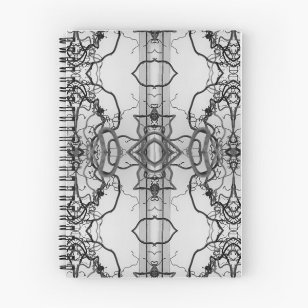Aperçu de l'œuvre Noisetier black and white créée et vendue par Audrey Quaas.