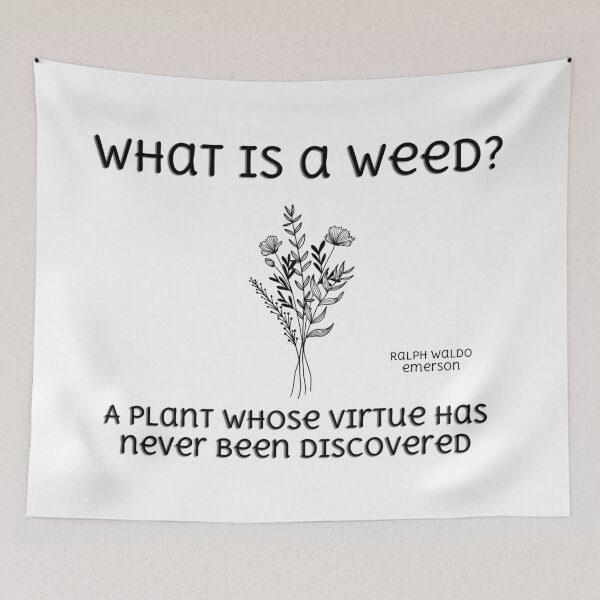 Item preview, What is a Weed? designed and sold by CreativeBel.