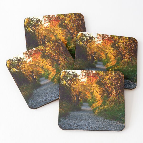 Item preview, Autumn walking path in forest designed and sold by Anyarnia.