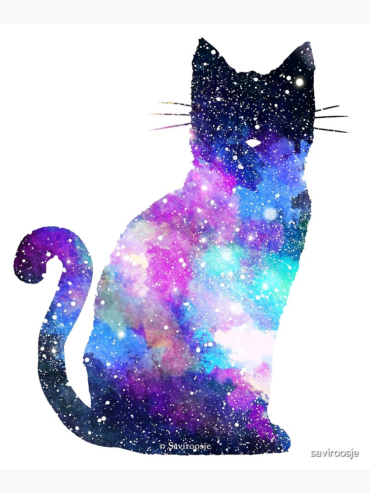 Galaxy Kitty \