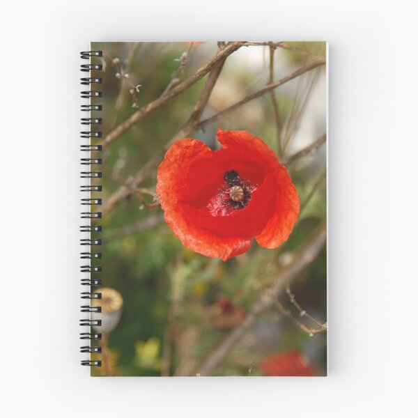 Item preview, Poppy close-up designed and sold by victorsboutique.