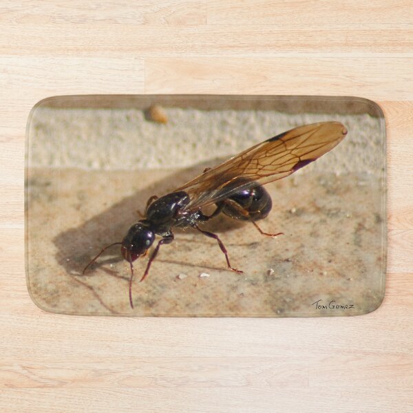 Item preview, Flying Ant designed and sold by tomg.