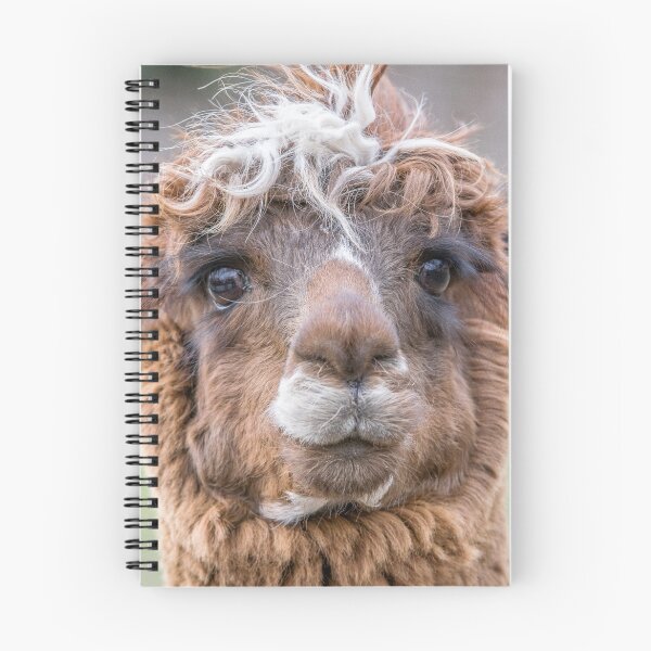 Item preview, Llama designed and sold by Gary Chadbond Photography.