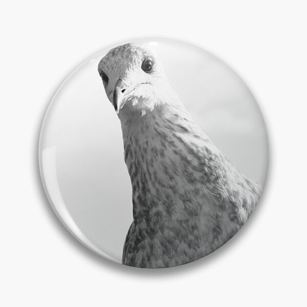 Item preview, Curious seagull designed and sold by Esther  Moliné.