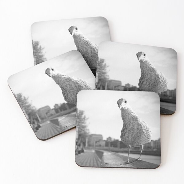 Item preview, Curious seagull designed and sold by Esther  Moliné.