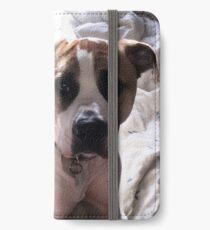 American Bulldog cross Northern Inuit iPhone Wallet/Case/Skin