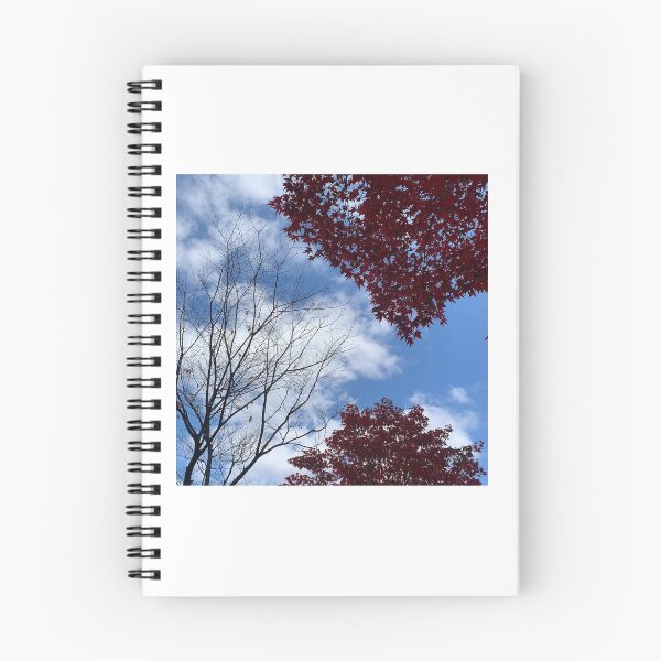 Item preview, Beautiful autumn sky and autumn leaves designed and sold by K-Letter.