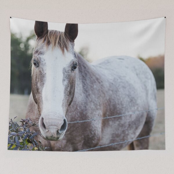 Item preview, Brindle Horse I designed and sold by ErikBPhoto.