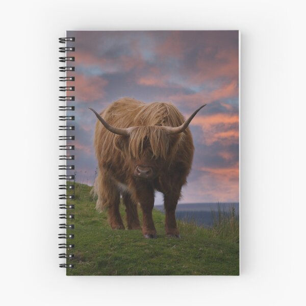 Item preview, Highland Cow At Sunset designed and sold by rawshutterbug.
