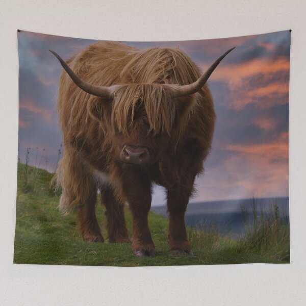 Item preview, Highland Cow At Sunset designed and sold by rawshutterbug.