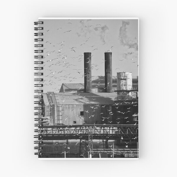Item preview, Finding the warm spot. designed and sold by ROBERT NIEDERRITER.