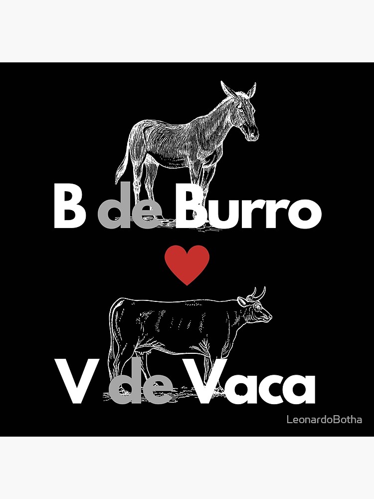 B de Burro o V de Vaca