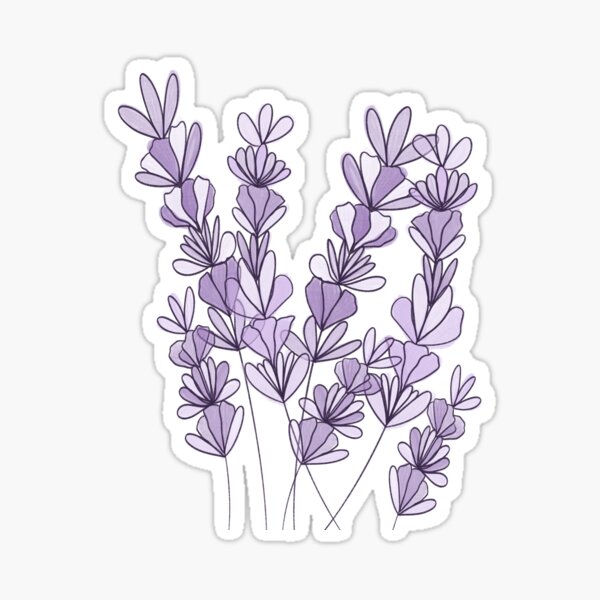 “Lavender” Sticker by oliverjoness | Redbubble