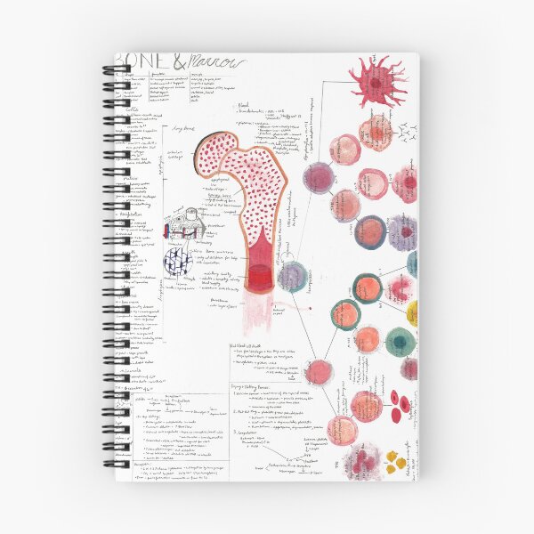 Item preview, Watercolor A&P of Bone and Marrow designed and sold by dr-duncan.