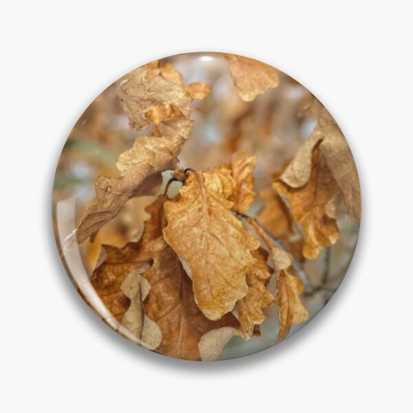 Item preview, Golden Brown Birch Tree Leaves designed and sold by Rob Cole Photography.