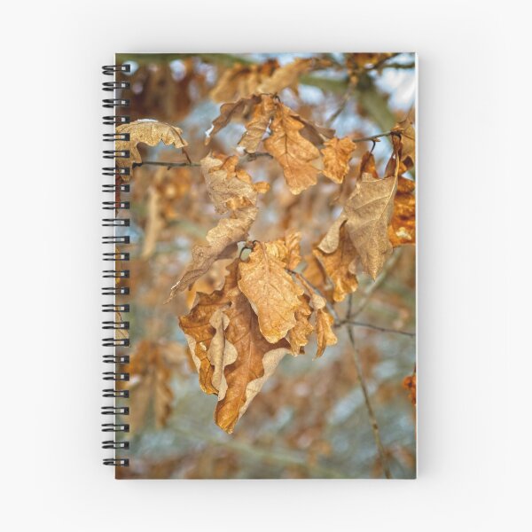 Item preview, Golden Brown Birch Tree Leaves designed and sold by Rob Cole Photography.