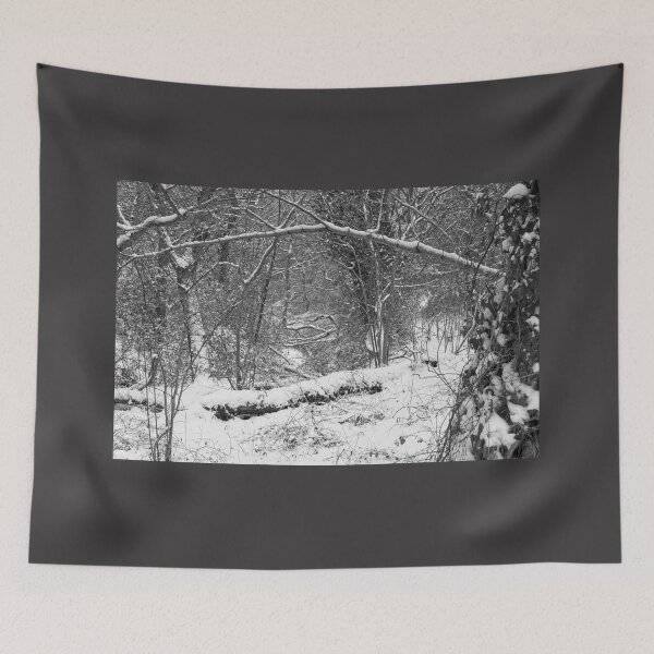 Item preview, Winter Woodland, Thornley Woods designed and sold by Rob Cole Photography.