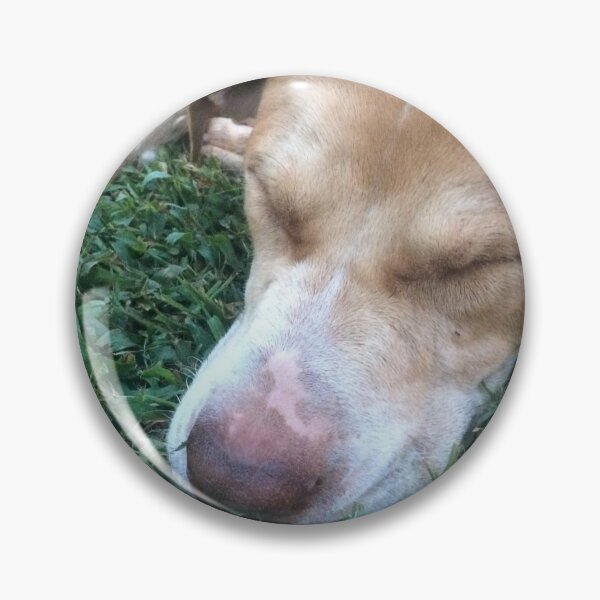 Item preview, Rosco Puppy Picture taking a nap designed and sold by Taleta Hollis.