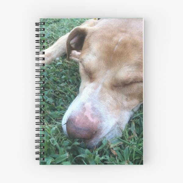 Item preview, Rosco Puppy Picture taking a nap designed and sold by Taleta Hollis.