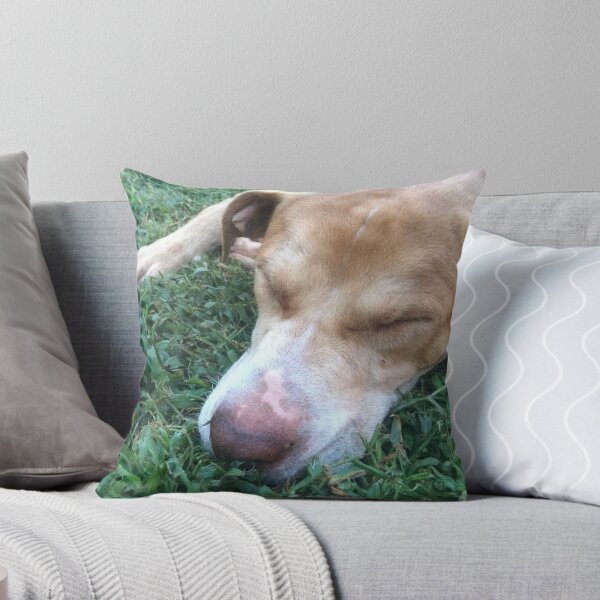 Item preview, Rosco Puppy Picture taking a nap designed and sold by Taleta Hollis.