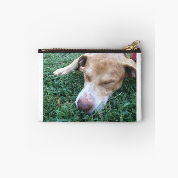 Item preview, Rosco Puppy Picture taking a nap designed and sold by Taleta Hollis.