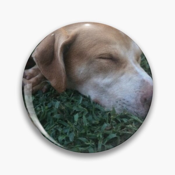 Item preview, Rosco Napping as a Puppy on Green Grass designed and sold by Taleta Hollis.