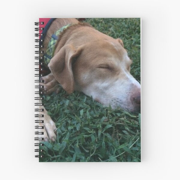 Item preview, Rosco Napping as a Puppy on Green Grass designed and sold by Taleta Hollis.