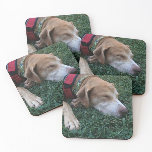 Artikelvorschau, Rosco Napping as a Puppy on Green Grass entworfen und verkauft von Taleta Hollis.