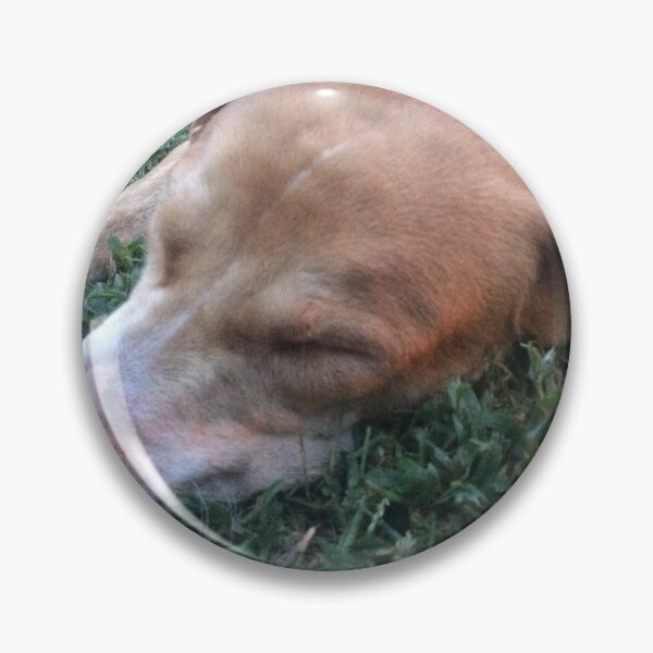 Item preview, Rosco Puppy Picture watching him Nap on the yard designed and sold by Taleta Hollis.