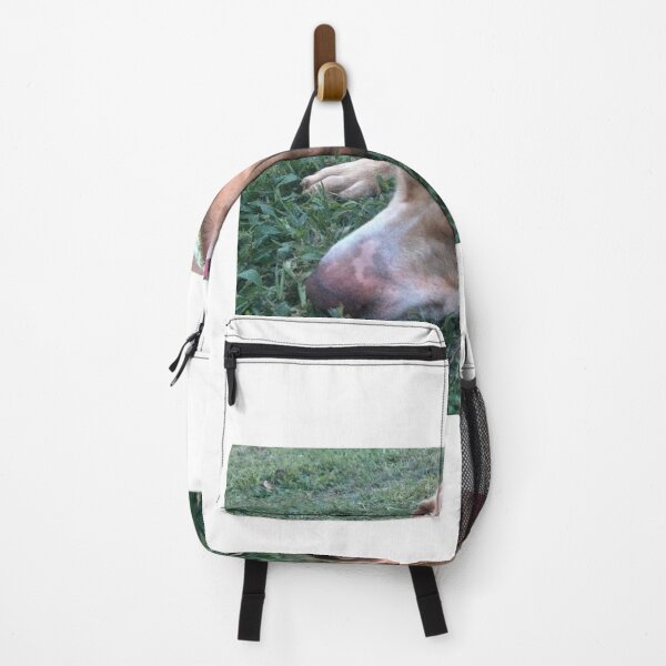 Item preview, Rosco Puppy Picture watching him Nap on the yard designed and sold by Taleta Hollis.