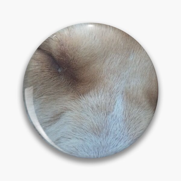 Item preview, Rosco napping as a Puppy Close View designed and sold by Taleta Hollis.