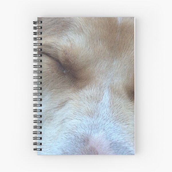 Item preview, Rosco napping as a Puppy Close View designed and sold by Taleta Hollis.