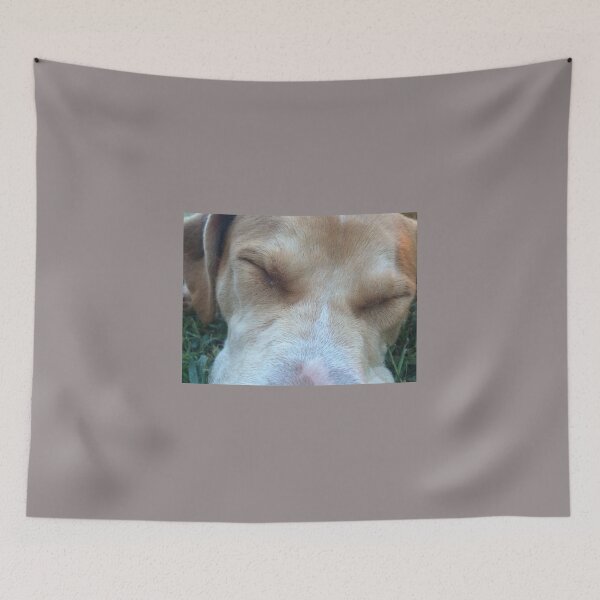 Item preview, Rosco napping as a Puppy Close View designed and sold by Taleta Hollis.