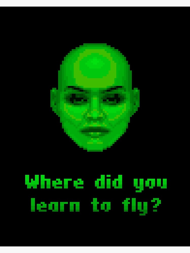 "Where did you learn to fly" Poster by ChillerTyp | Redbubble