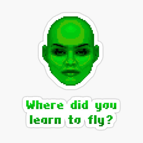 Where Did You Learn To Fly Sticker For Sale By Chillertyp Redbubble