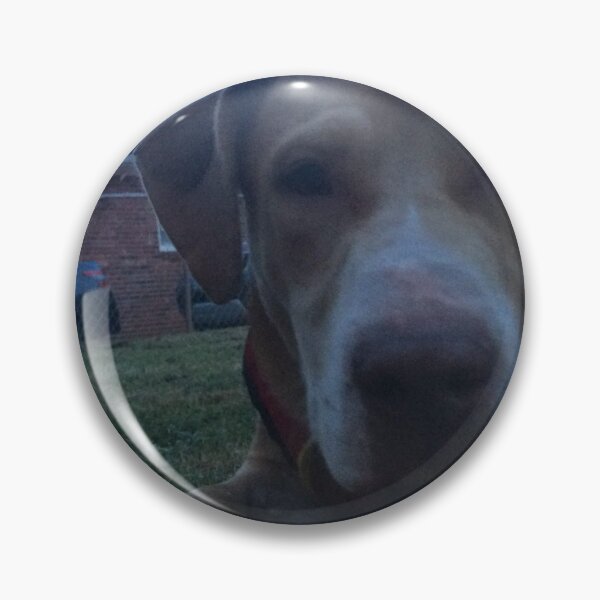 Item preview, Rosco Sitting in the yard designed and sold by Taleta Hollis.