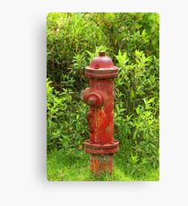 Rust Covered Fire Hydrant Canvas Print