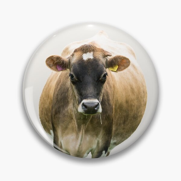 Item preview, Standing Jersey Cow designed and sold by Jane Stanley Photography.