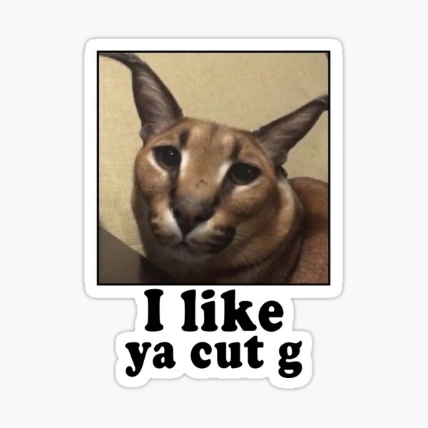 Big Floppa - Caracal, Big Cat Meme - Funny, Modern, Subversive Cross Stitch  Pattern - Digital PDF