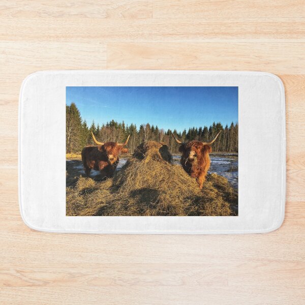 Artikelvorschau, Kopie von Kopie von Kopie von Kopie von Kopie von Kopie von Kopie von Kopie von Kopie von Kopie von Kopie von Kopie von Scottish Highland Cattle Cow entworfen und verkauft von SaarelaHighland.