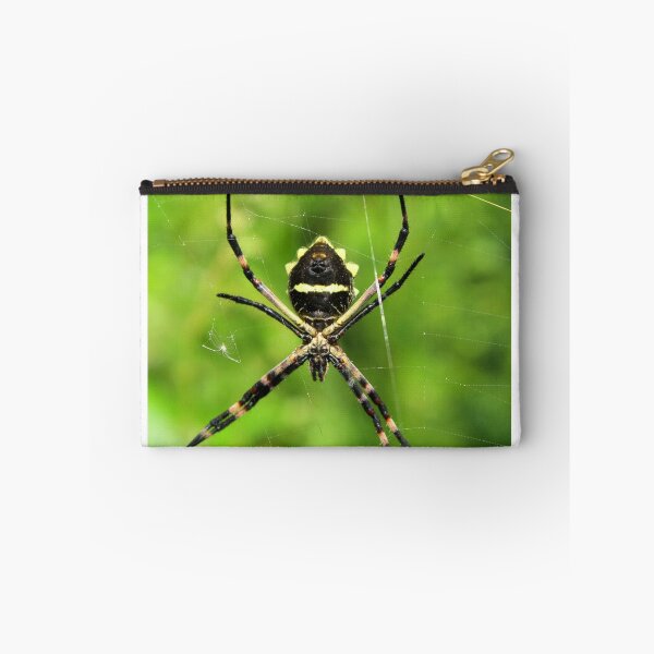 Item preview, Orb Weaver Spider Suspended in a Web designed and sold by rhamm.